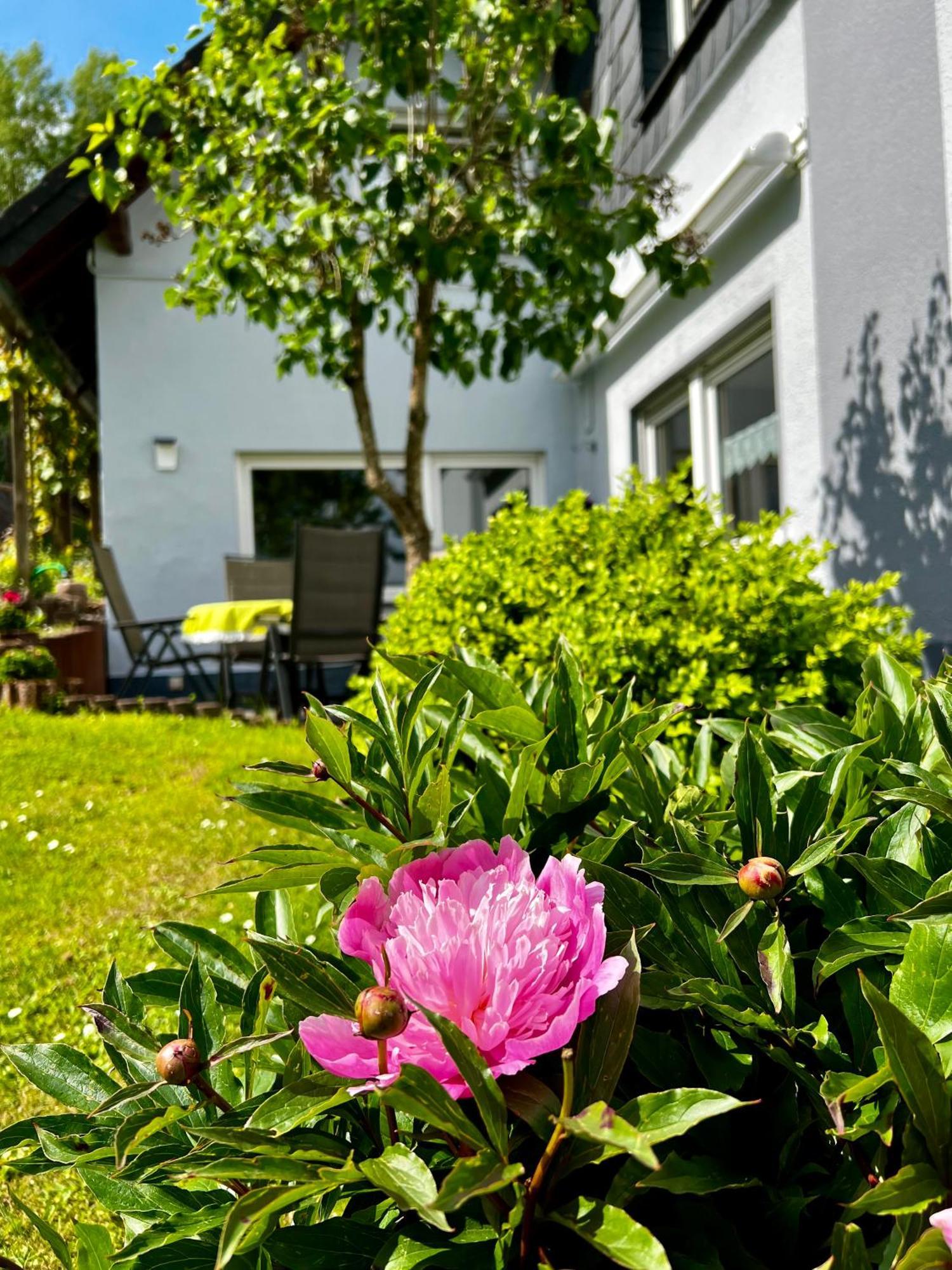Deine-Eifel-Ferienwohnung Feusdorf Exterior foto
