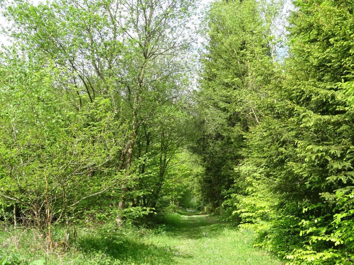 Deine-Eifel-Ferienwohnung Feusdorf Exterior foto